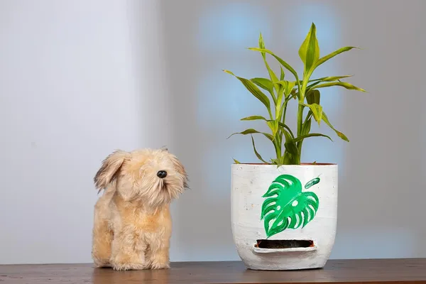 Terracotta_Self_Watering_Planter