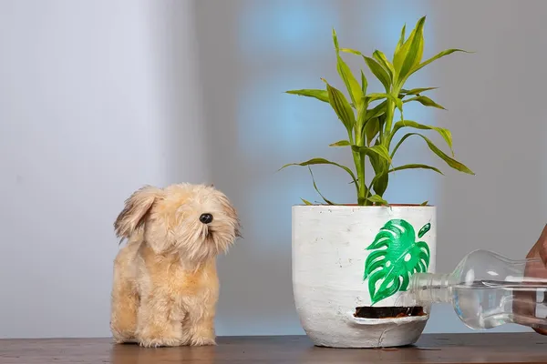 Terracotta_Self_Watering_Planter