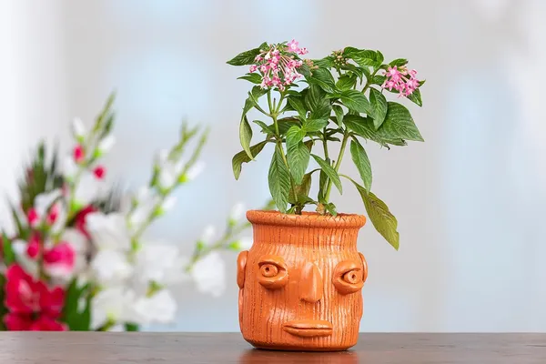 Clay_Planter