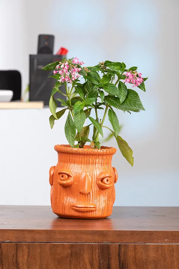 Clay_Planter