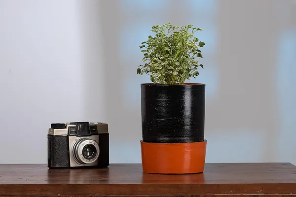 Terracotta_Self_Watering_Planter