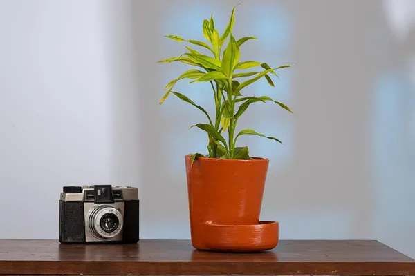 Terracotta_Self_Watering_Planter