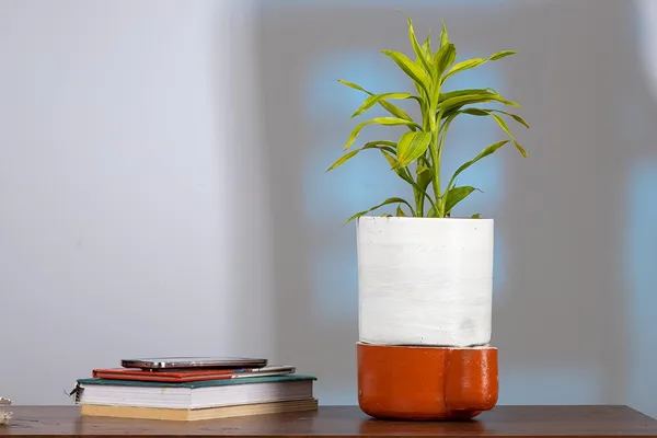 Terracotta_Self_Watering_Planter