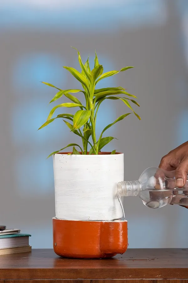 Terracotta_Self_Watering_Planter