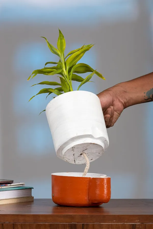 Terracotta_Self_Watering_Planter