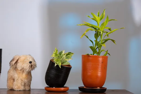 Terracotta_Self_Watering_Planter