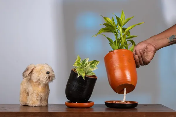 Terracotta_Self_Watering_Planter