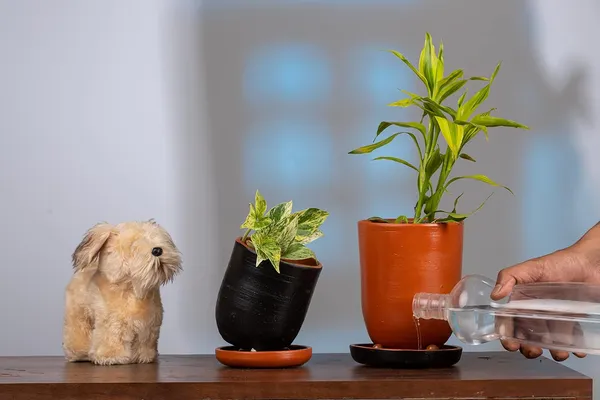 Terracotta_Self_Watering_Planter