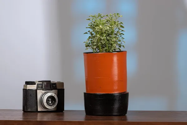 Terracotta_Self_Watering_Planter