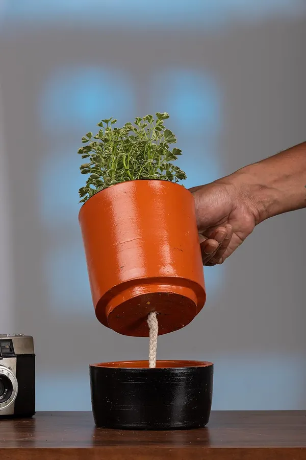 Terracotta_Self_Watering_Planter