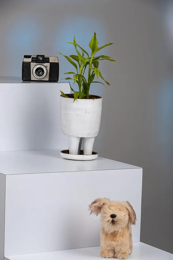 Terracotta_Self_Watering_Planter_With_Plate
