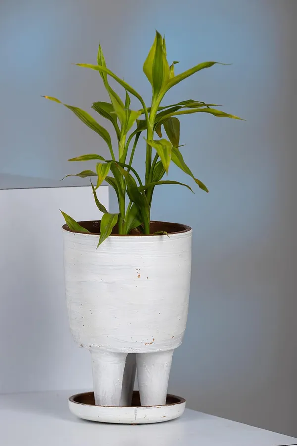 Terracotta_Self_Watering_Planter_With_Plate