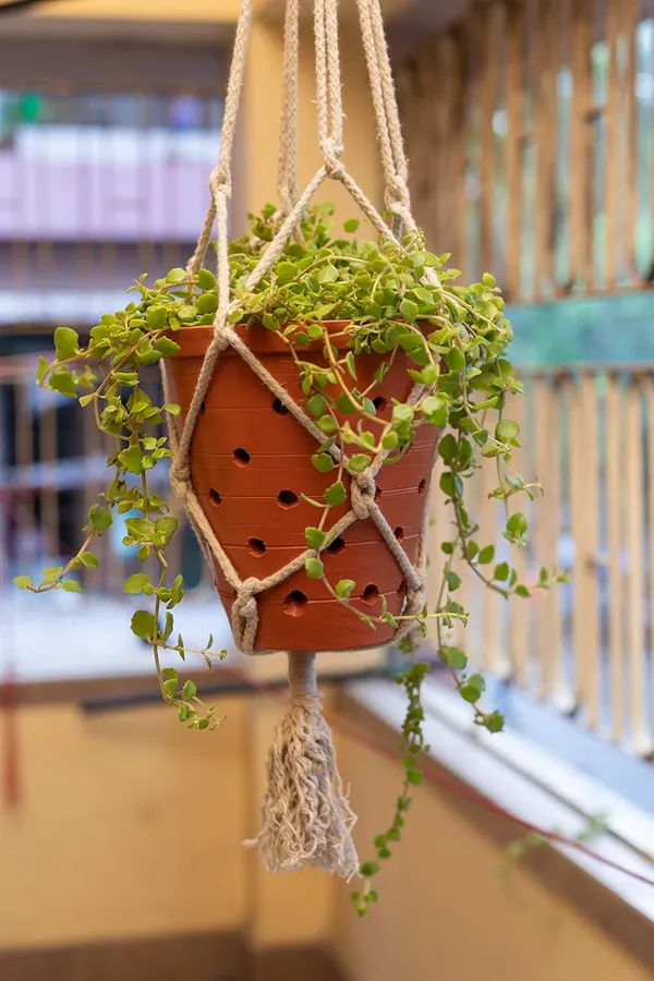 Terracotta_Hanging_Planter