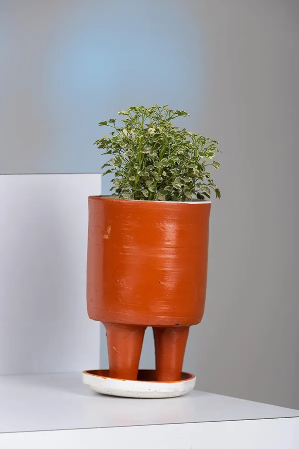 Terracotta_Self_Watering_Planter_With_Plate