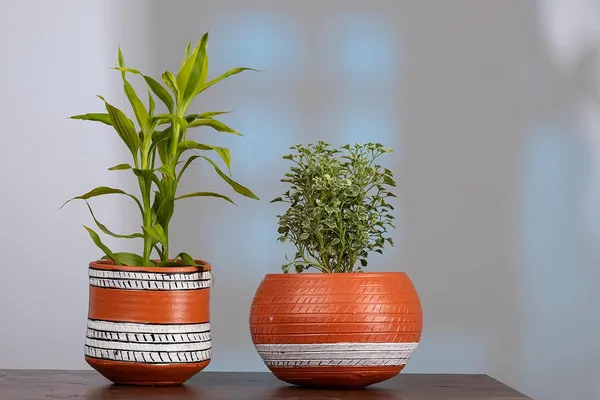 Terracotta_Self_Watering_Planter