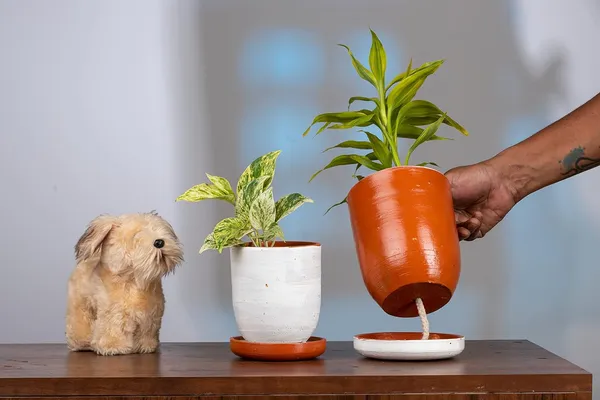 Terracotta_Self_Watering_Planter