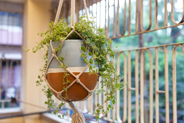 Terracotta_Hanging_Planter