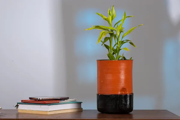 Terracotta_Self_Watering_Planter