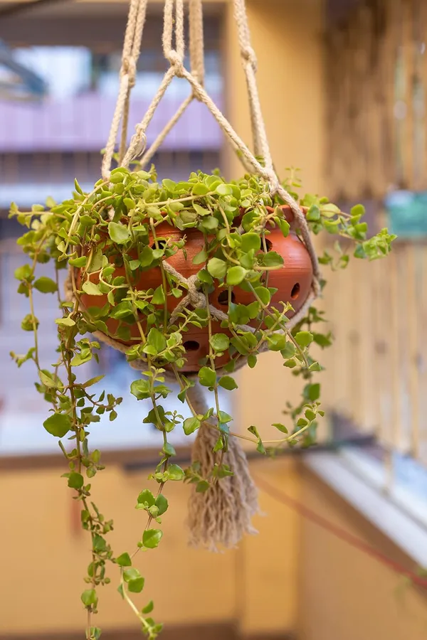 Terracotta_Hanging_Planter