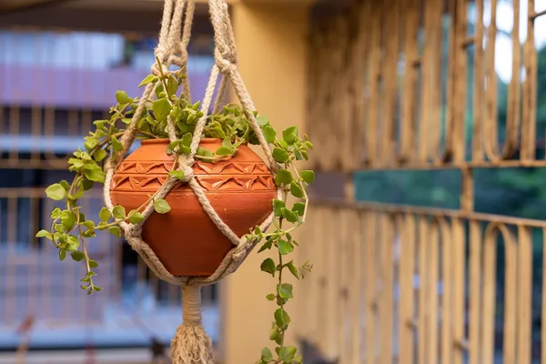 Terracotta_Hanging_Planter