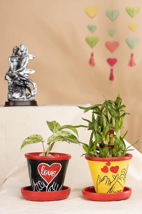Terracotta_Planter
