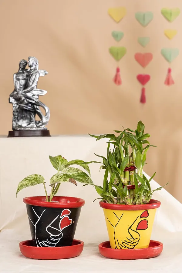 Terracotta_Planter