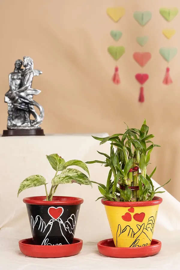 Terracotta_Planter_For_Indoor_Balcony_Garden