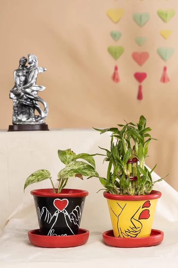 Terracotta_Planter