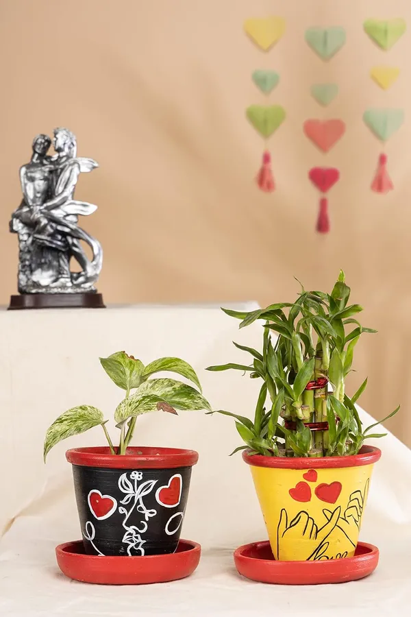 Terracotta_Planter