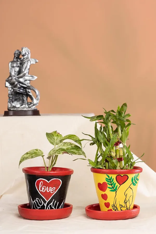 Terracotta_Planter