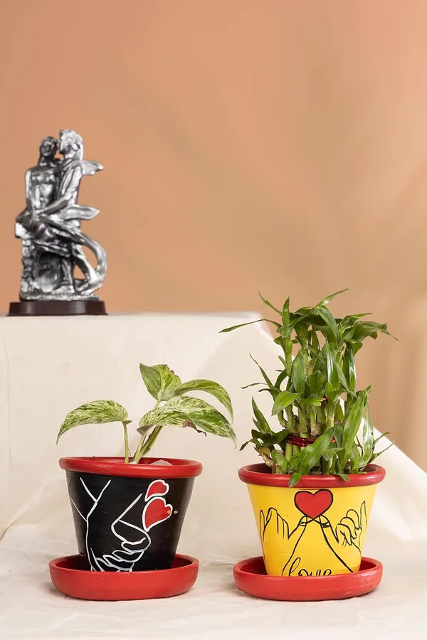 Terracotta_Planter
