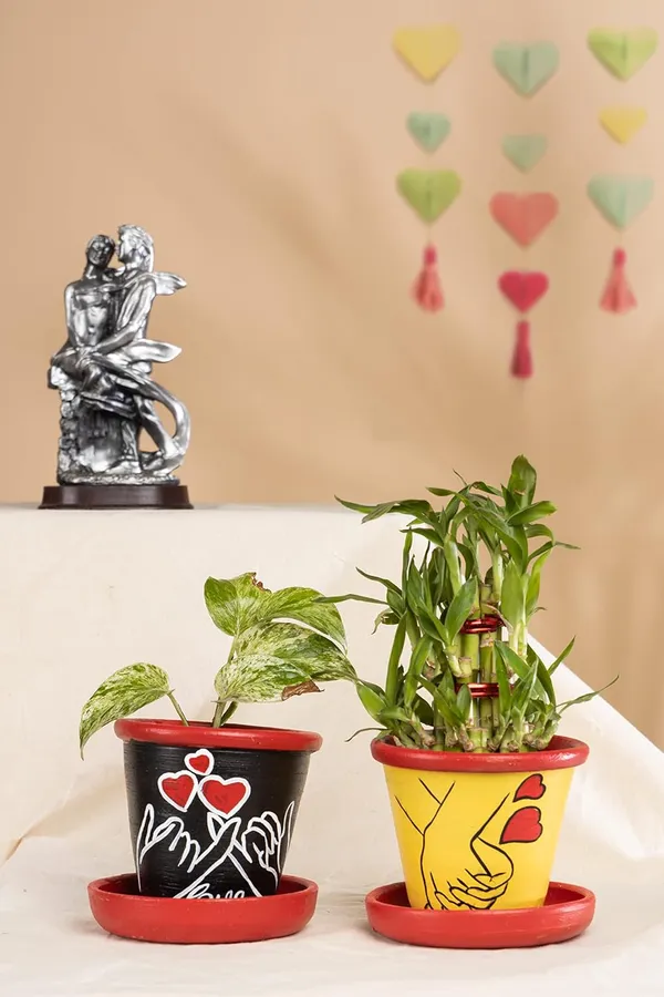 Terracotta_Planter
