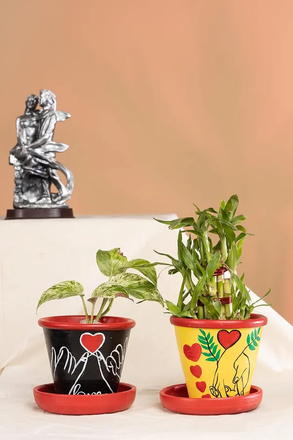 Terracotta_Planter
