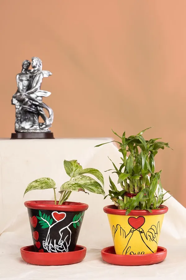 Terracotta_Planter_For_Indoor_Garden