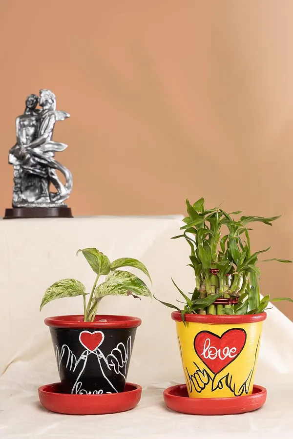 Terracotta_Planter
