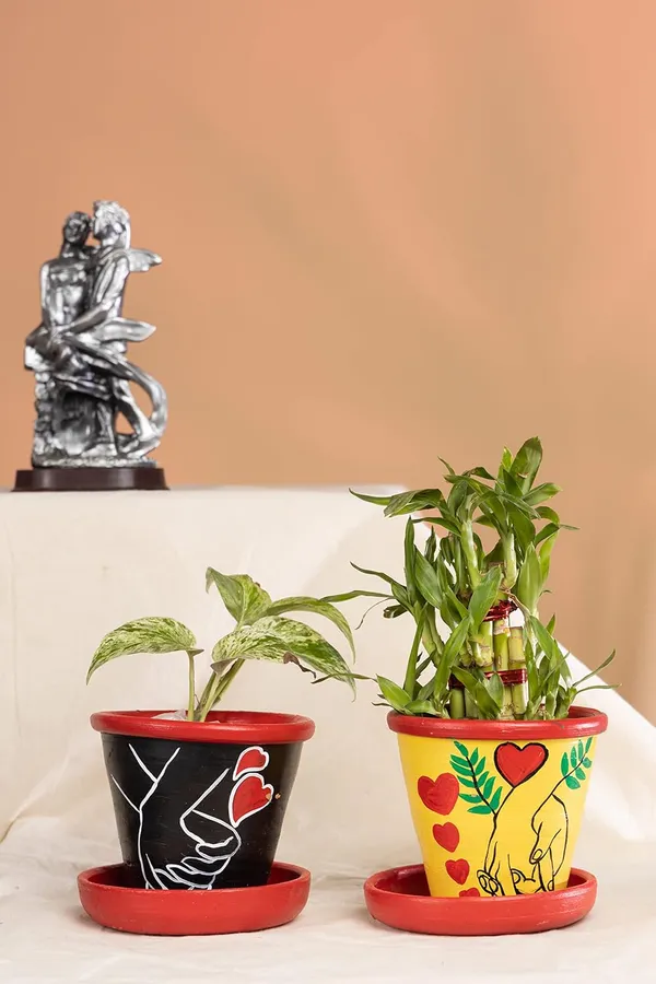 Terracotta_Planter