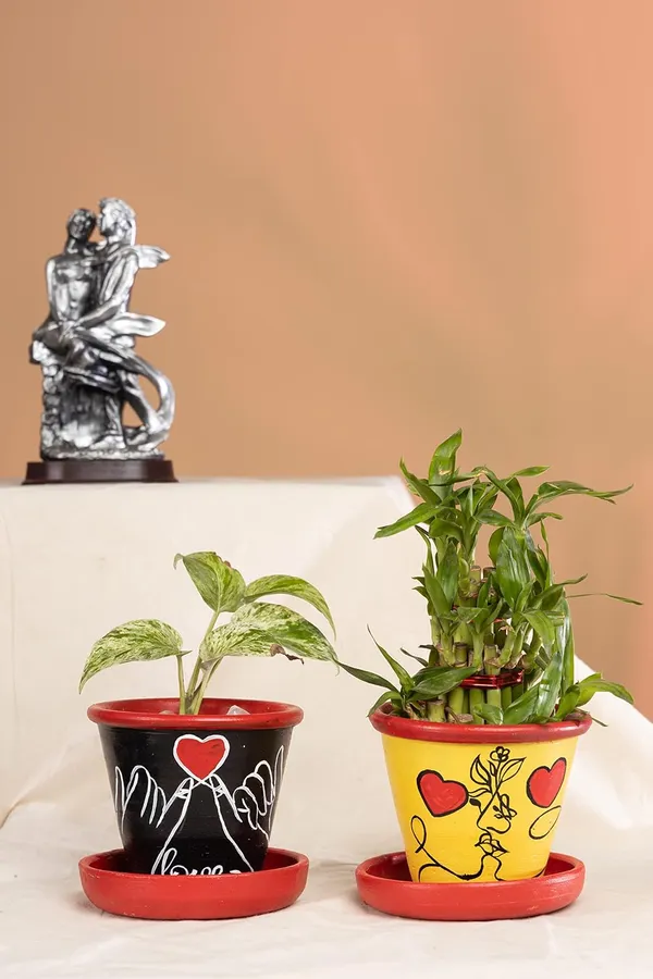 Terracotta_Planter