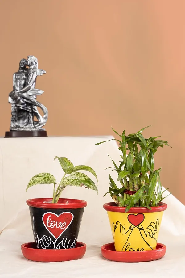 Terracotta_Planter_For_Indoor_Garden