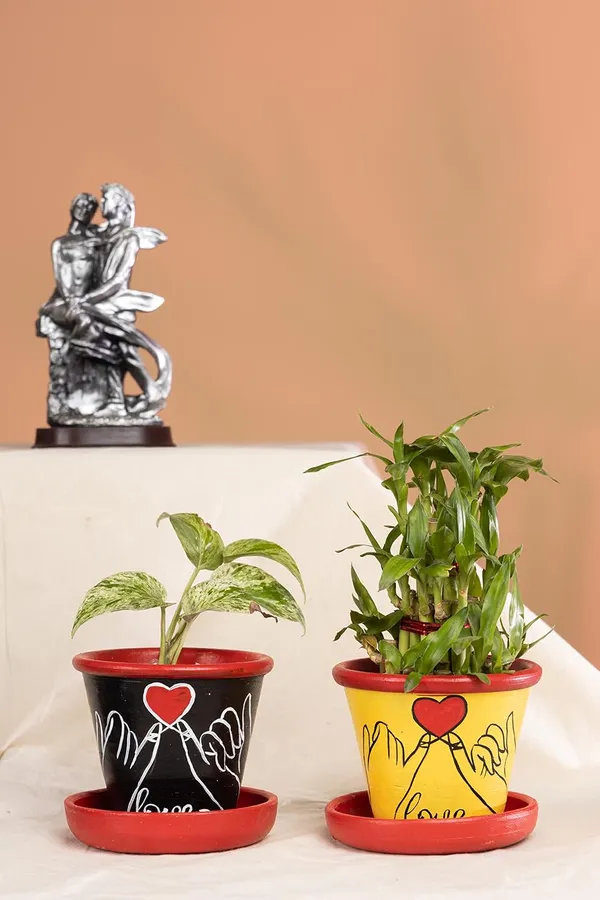 Terracotta_Planter