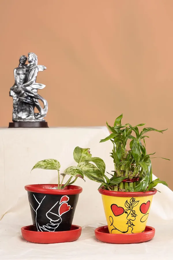 Terracotta_Planter