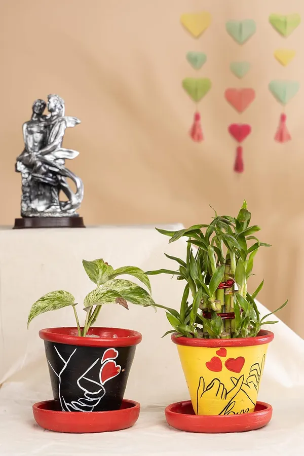 Terracotta_Planter