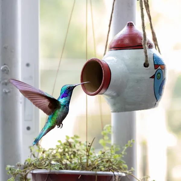 Terracotta_Bird_Feeder_Bowl