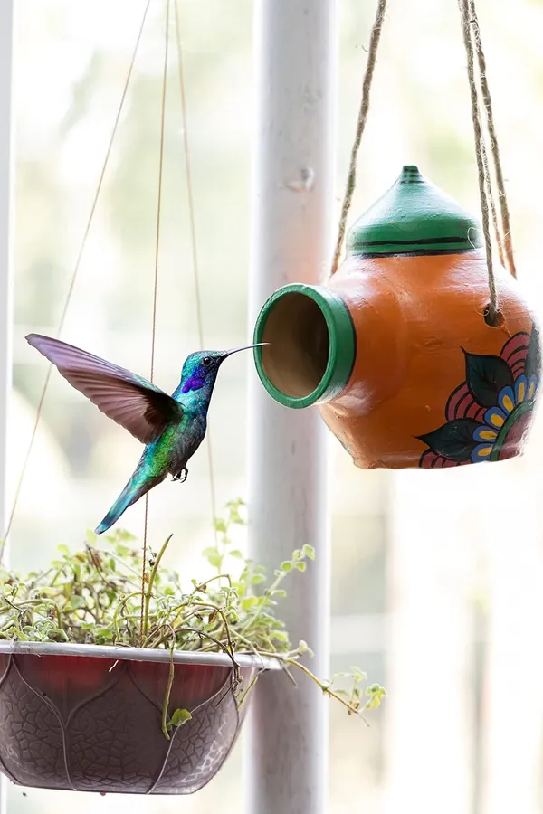 Terracotta_Bird_Feeder_Bowl