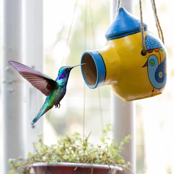 Terracotta_Bird_Feeder_Bowl