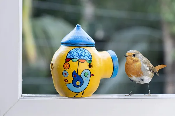 Terracotta_Bird_Feeder_Bowl