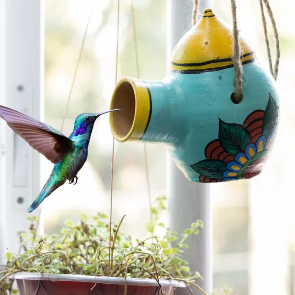 Terracotta_Bird_Feeder_Bowl