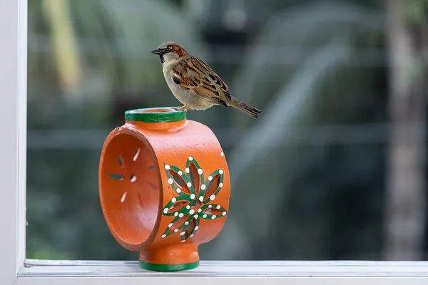 Terracotta_Bird_Feeder_Bowl