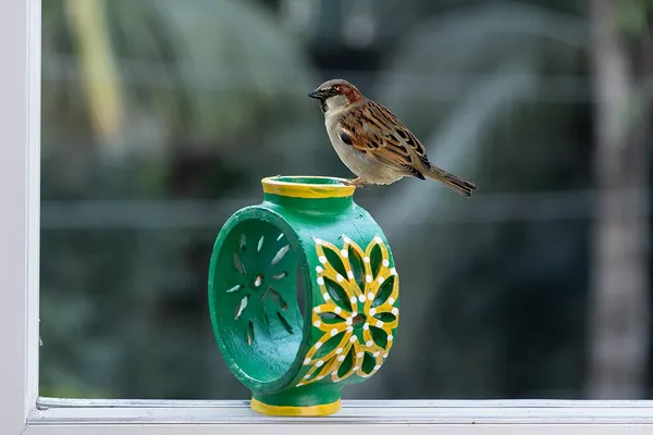 Terracotta_Bird_Feeder_Bowl
