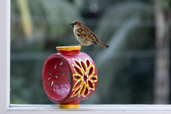 Terracotta_Bird_Feeder_Bowl