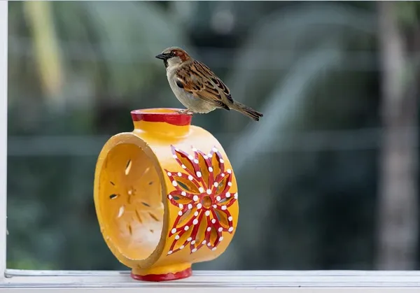 Terracotta_Bird_Feeder_Bowl